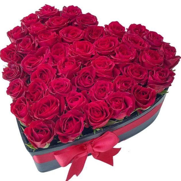H50 Mini roses