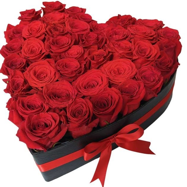 H54 38 large Roses
